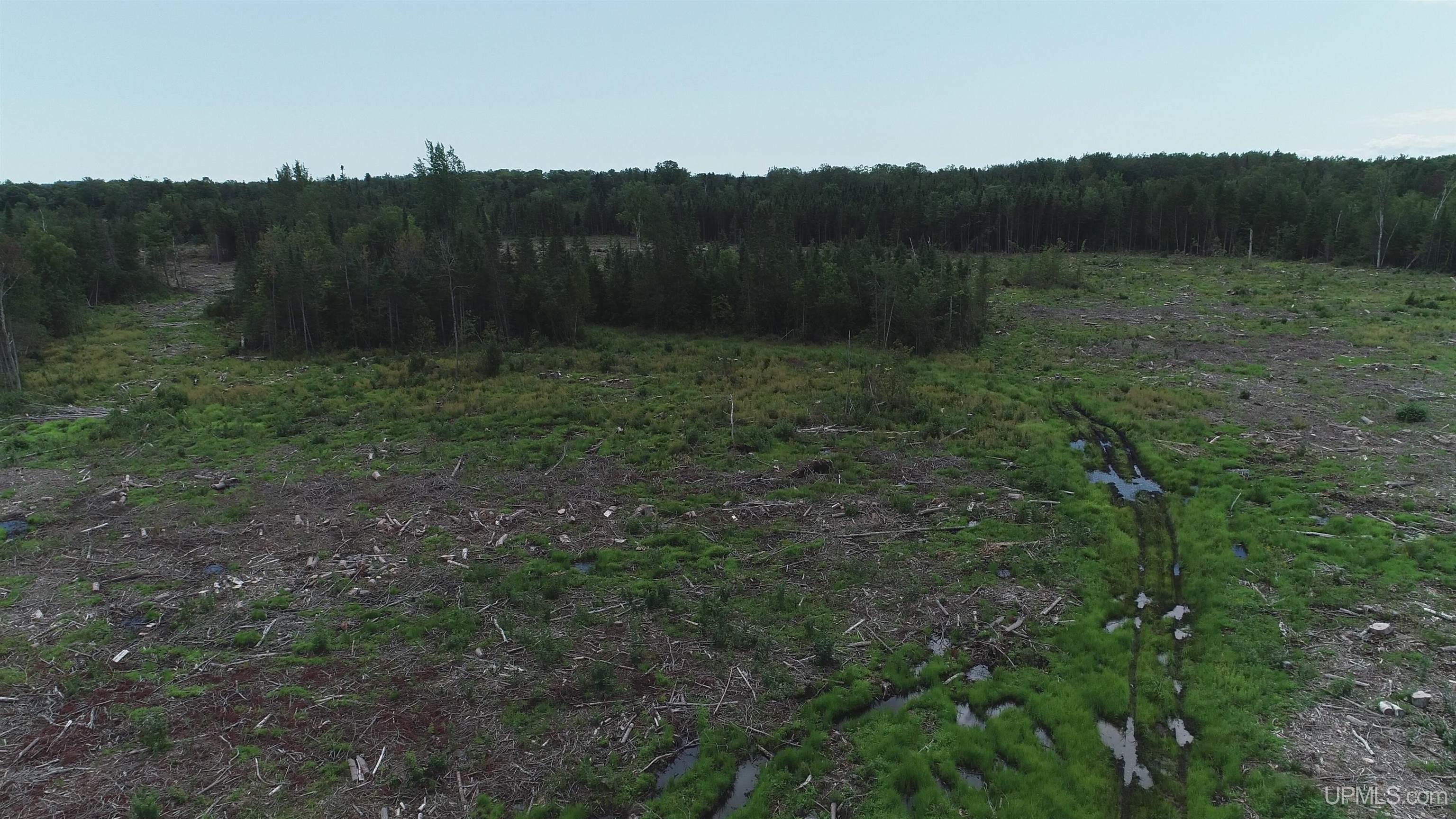 160-acres Halverson Road Gulliver, MI 49840 - Photo 31 of 35