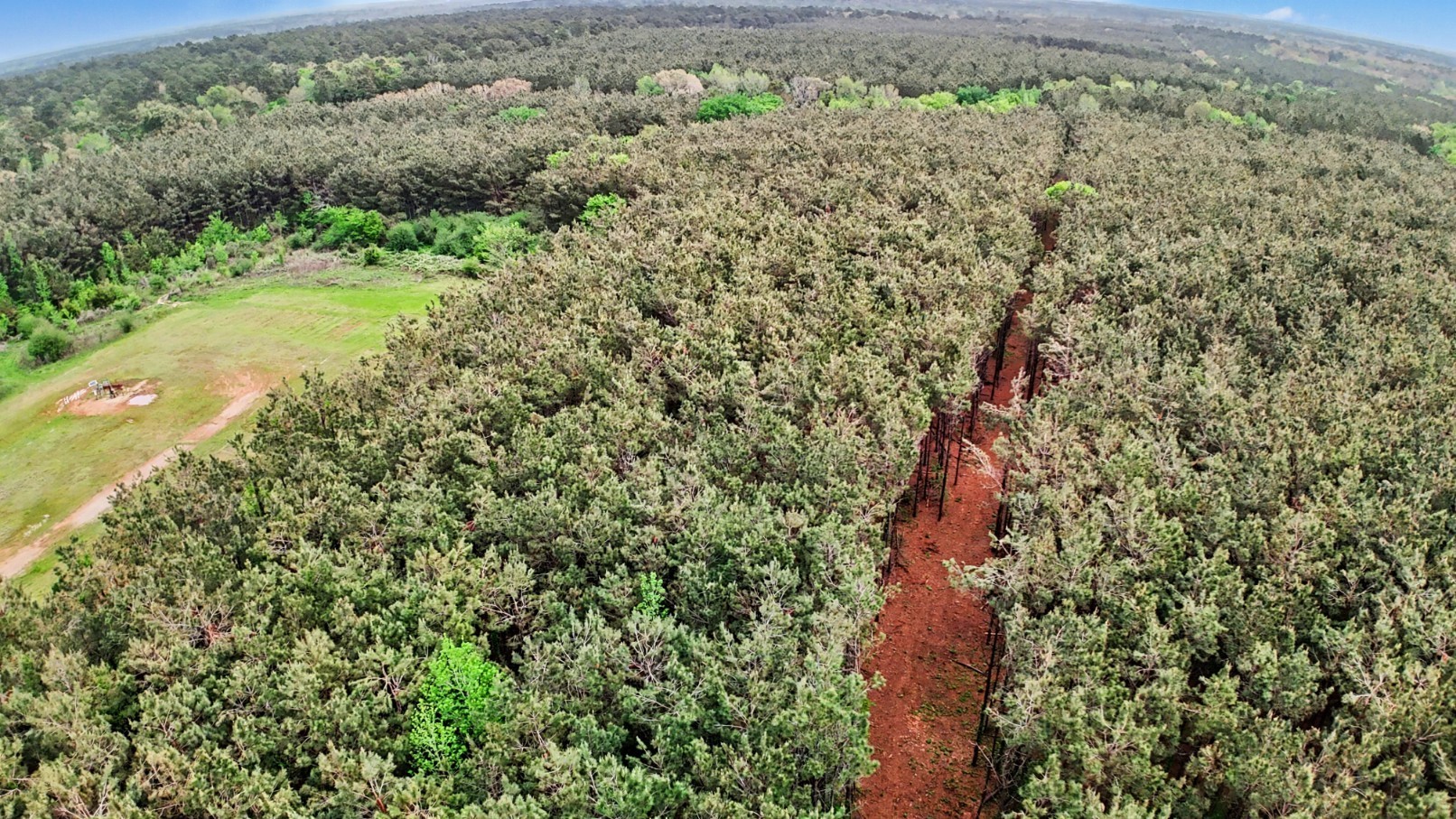 388 County Road Nacogdoches, TX 75964 - Photo 6 of 7
