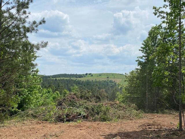 14 Ridge Road Decatur, TN 37322 - Photo 3 of 5