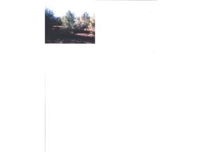 0 Bullock Road Ash Fork, AZ 86320 - Photo 1 of 1 Primary Photo