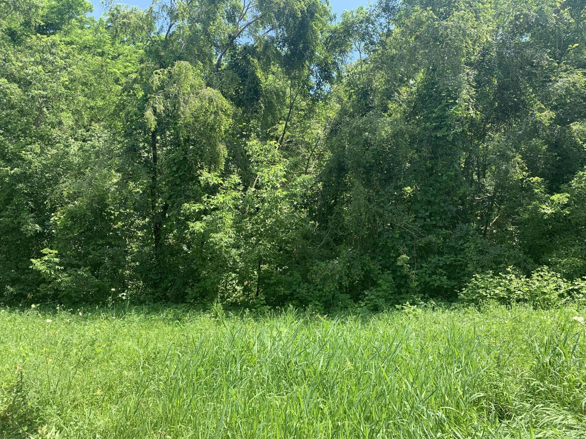 Lt21 Lt21 Charles Young Dr Unit LT27  