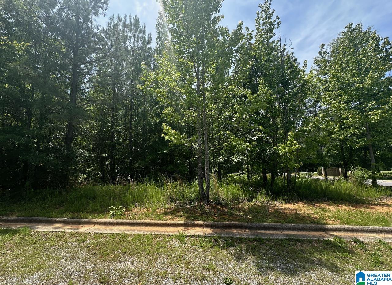 0 Club House Road Sylacauga, AL 35150 - Photo 3 of 6