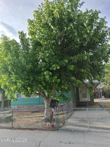 front view of a house with a tree