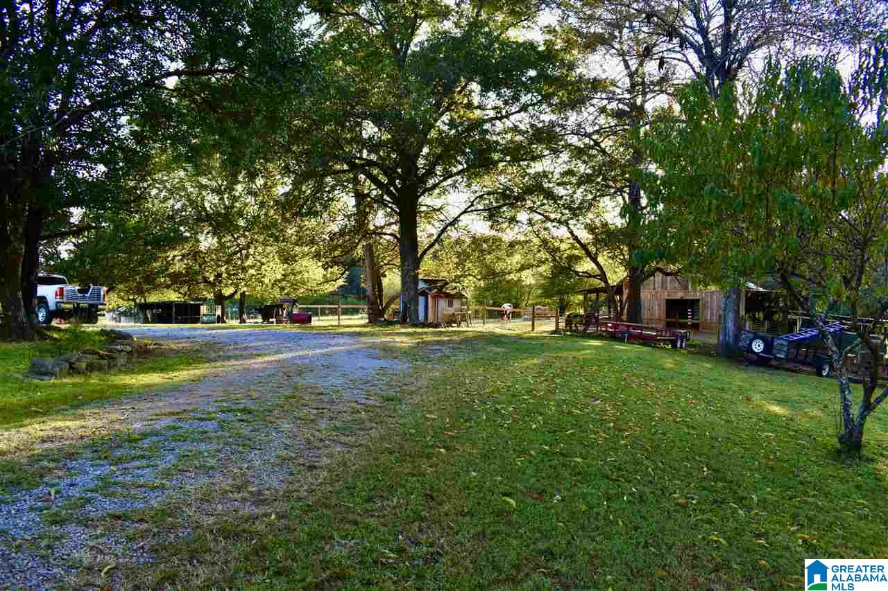 2441 Old Hayden Road Warrior, AL 35180 - Photo 12 of 42