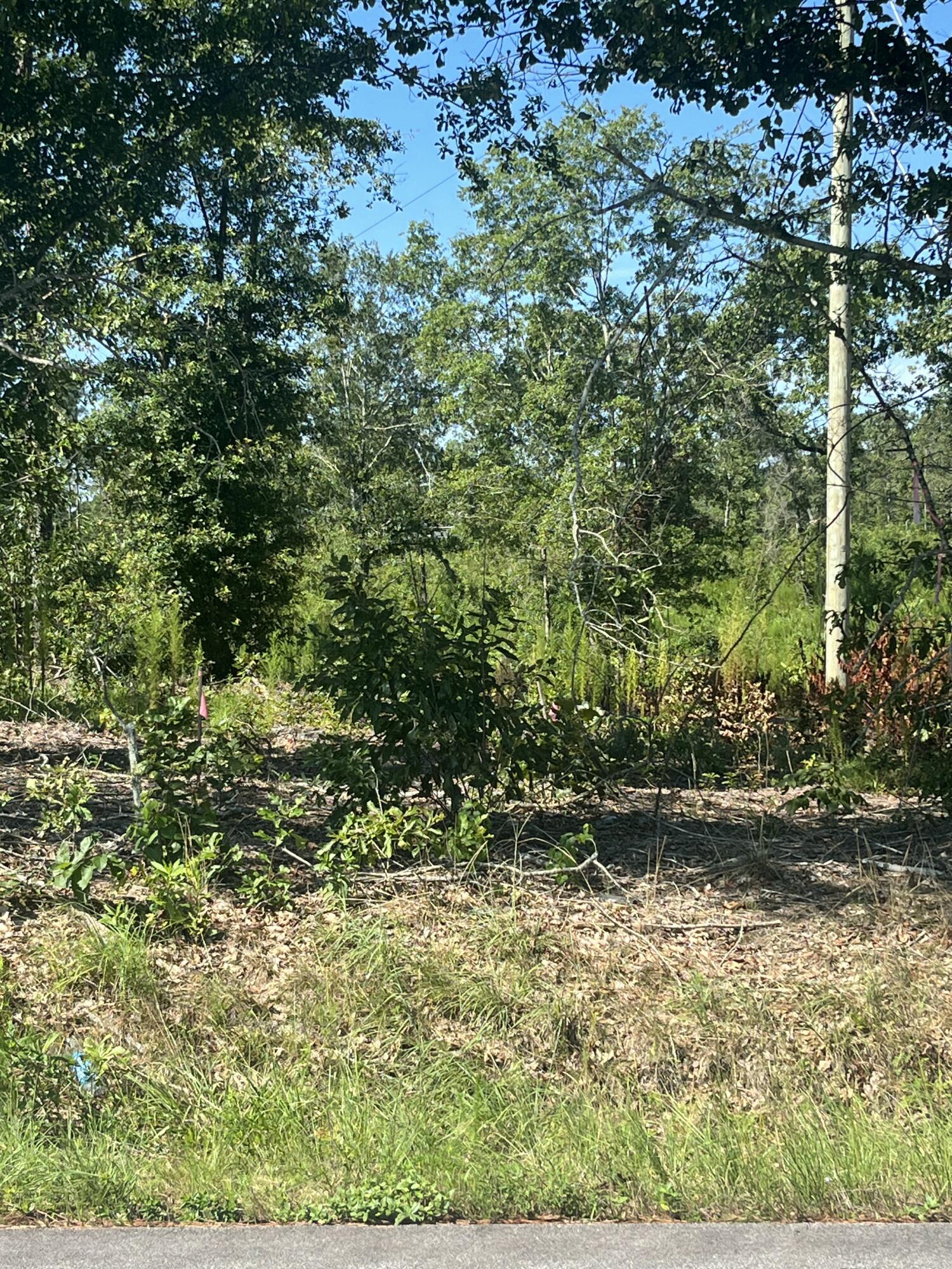9 C Piper Road North Augusta, SC 29860 - Photo 1 of 3