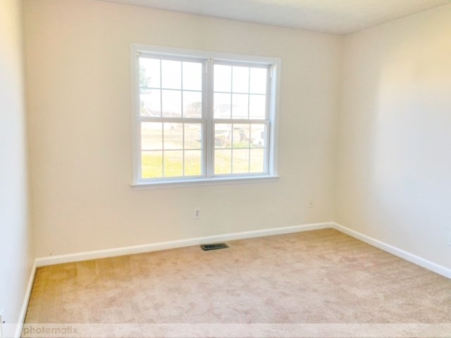 503 True Vine Road Pikeville, NC 27863 - Photo 17 of 21