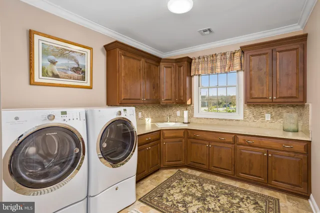 a view of a yard with plants and large trees
