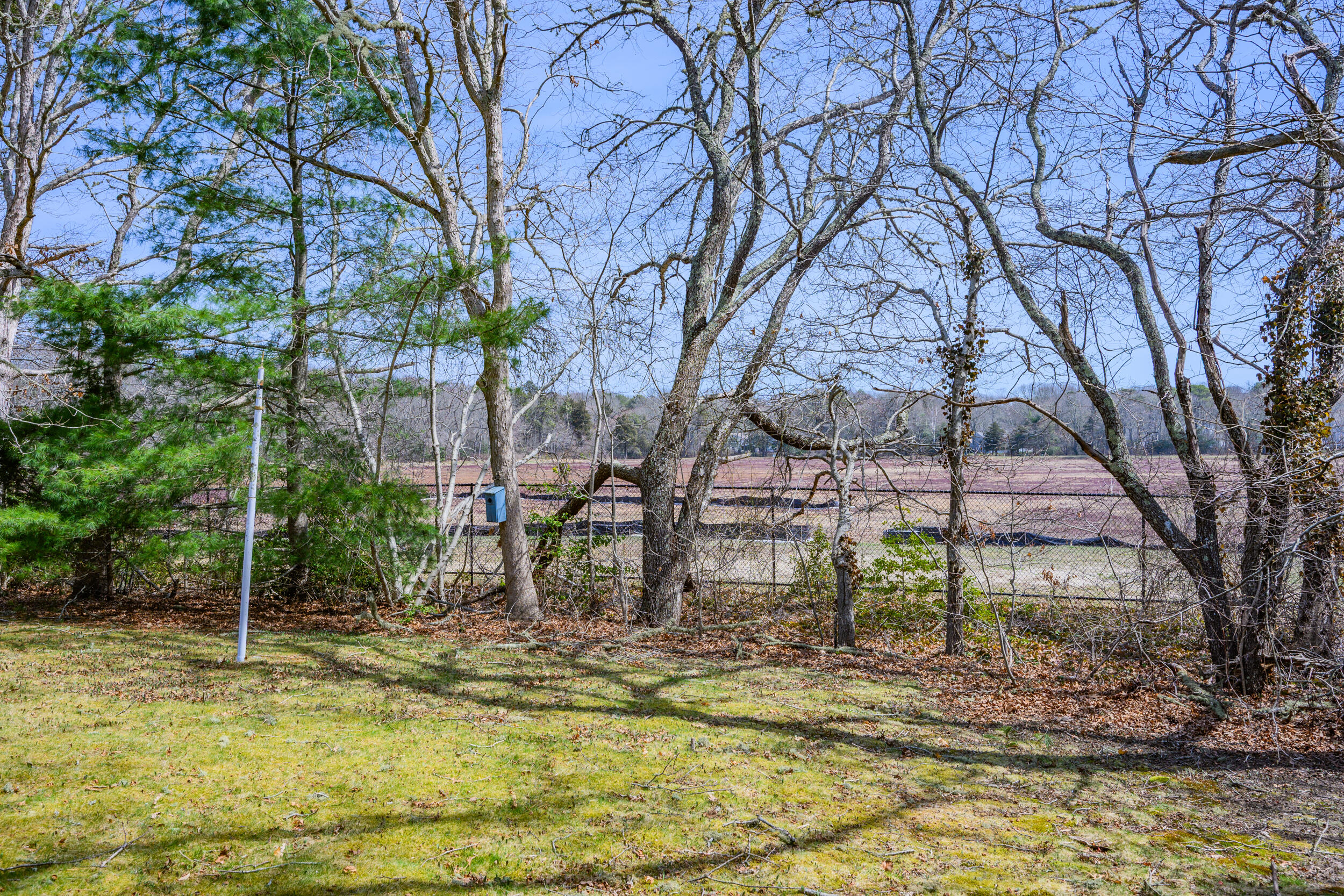 22 Longfellow Drive Centerville, MA 02632 - Photo 34 of 34 37_dsc_2344