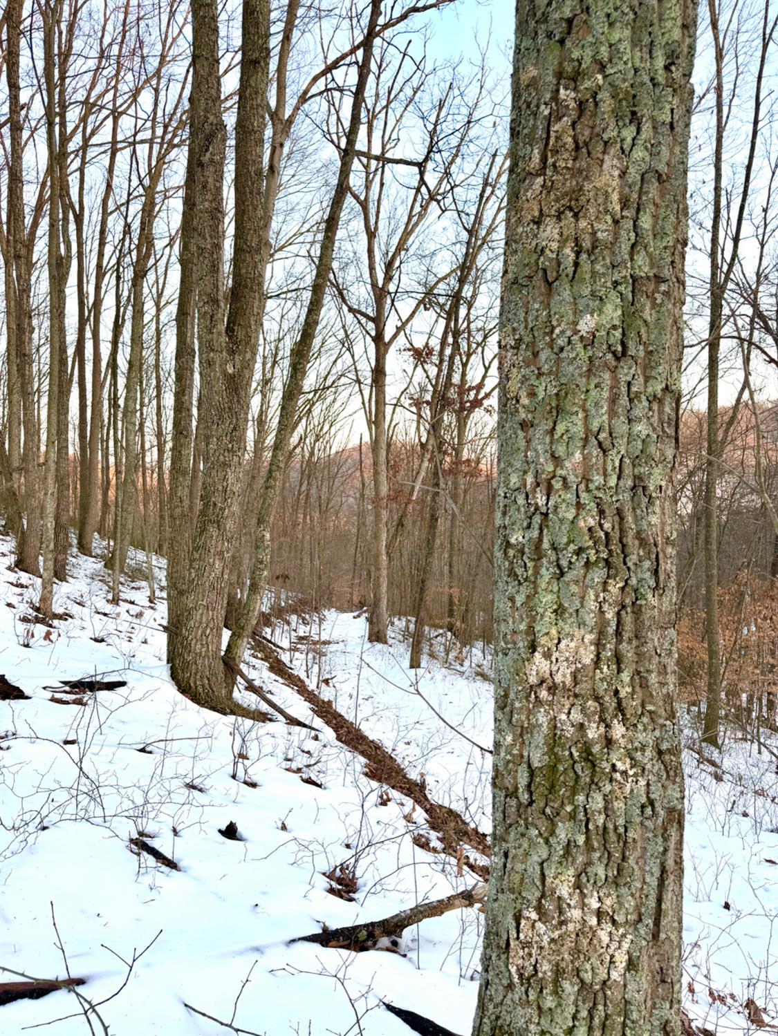 0 Carrs Run Beaver, OH 45613 - Photo 40 of 66