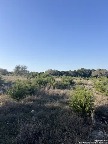a view of a lake in middle of forest