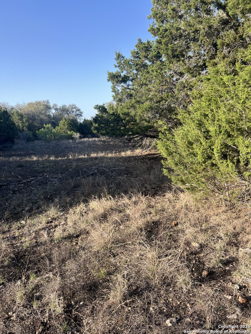 27407 Sunset Loop San Antonio, TX 78266 - Photo 12 of 36 a view of a yard with a tree