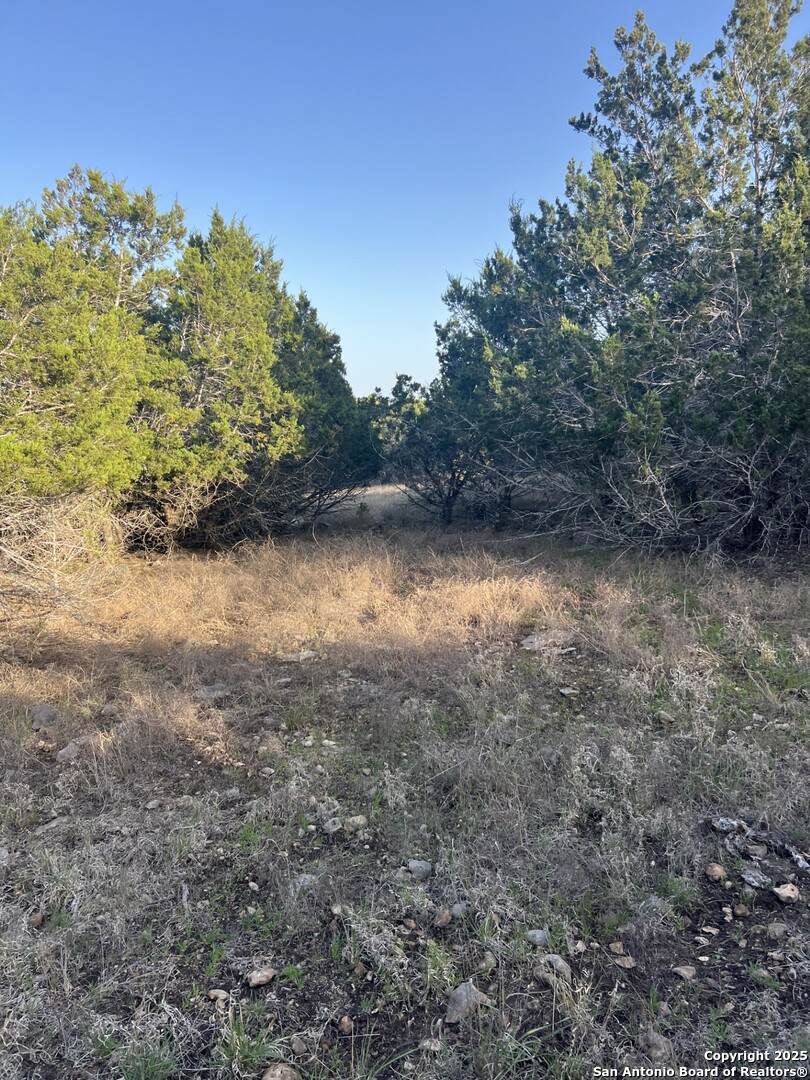 27407 Sunset Loop San Antonio, TX 78266 - Photo 13 of 36 a view of a yard with a tree