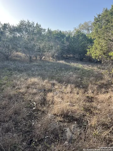 a view of a field with trees in background