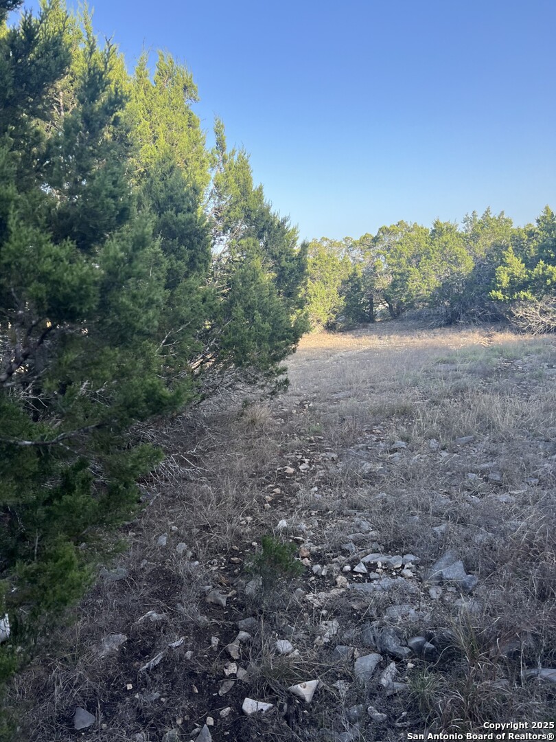 27407 Sunset Loop San Antonio, TX 78266 - Photo 17 of 36 a view of a yard with a tree