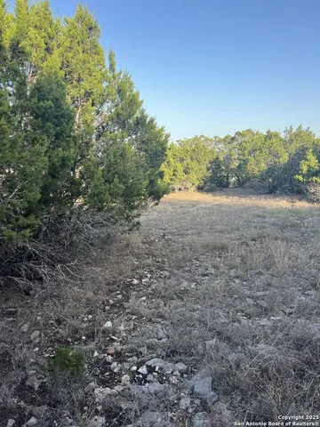 a view of an outdoor space with trees all around
