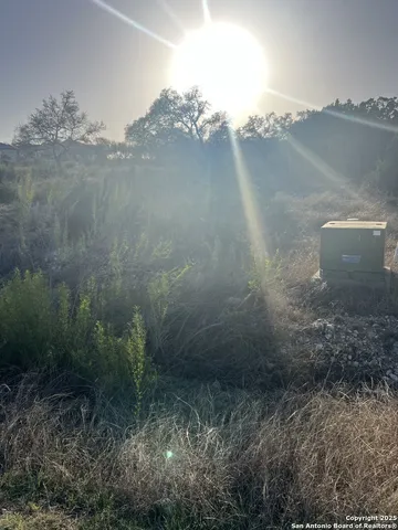 a view of a small yard