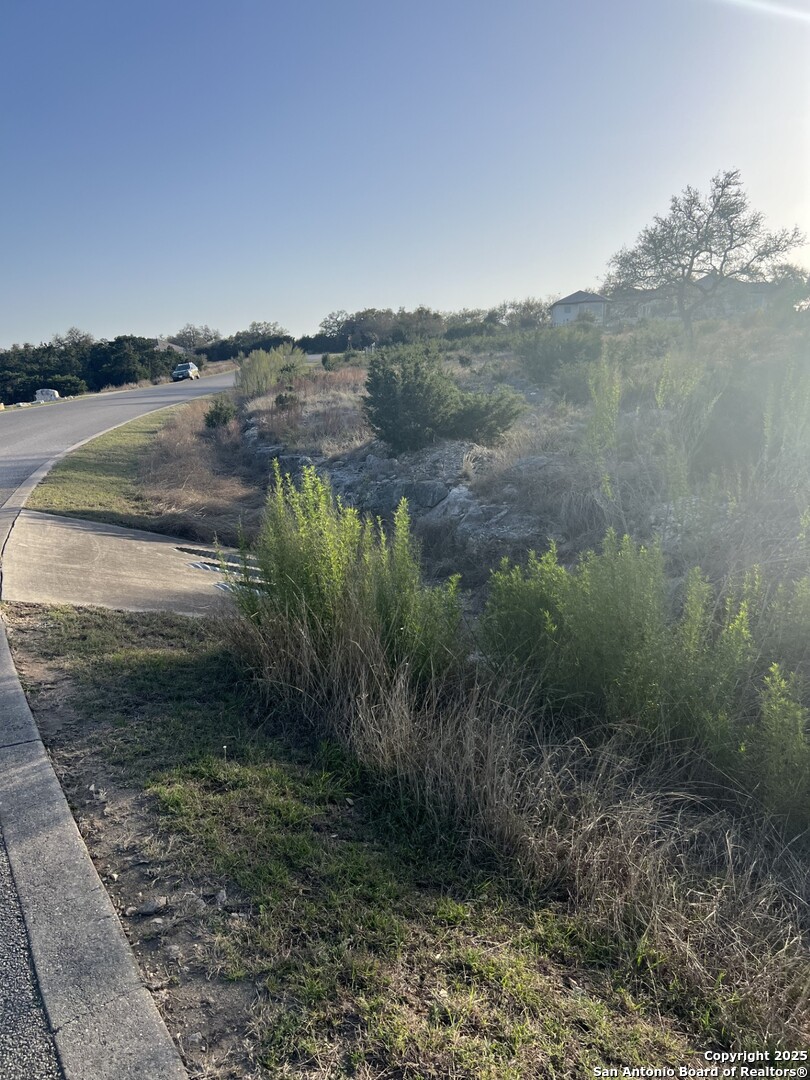 27407 Sunset Loop San Antonio, TX 78266 - Photo 20 of 36 a view of a yard