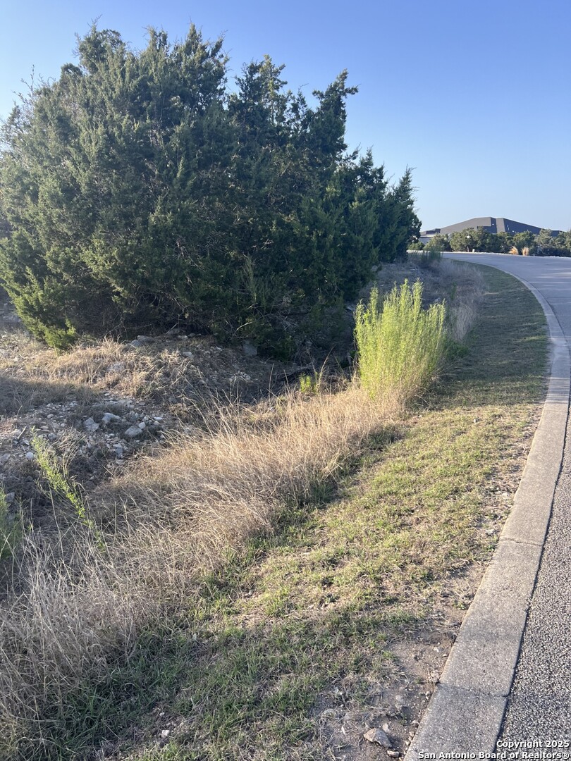 27407 Sunset Loop San Antonio, TX 78266 - Photo 21 of 36 a view of a yard with wooden fence