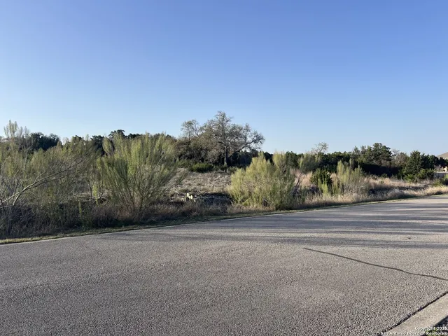 a view of a rural road with plants
