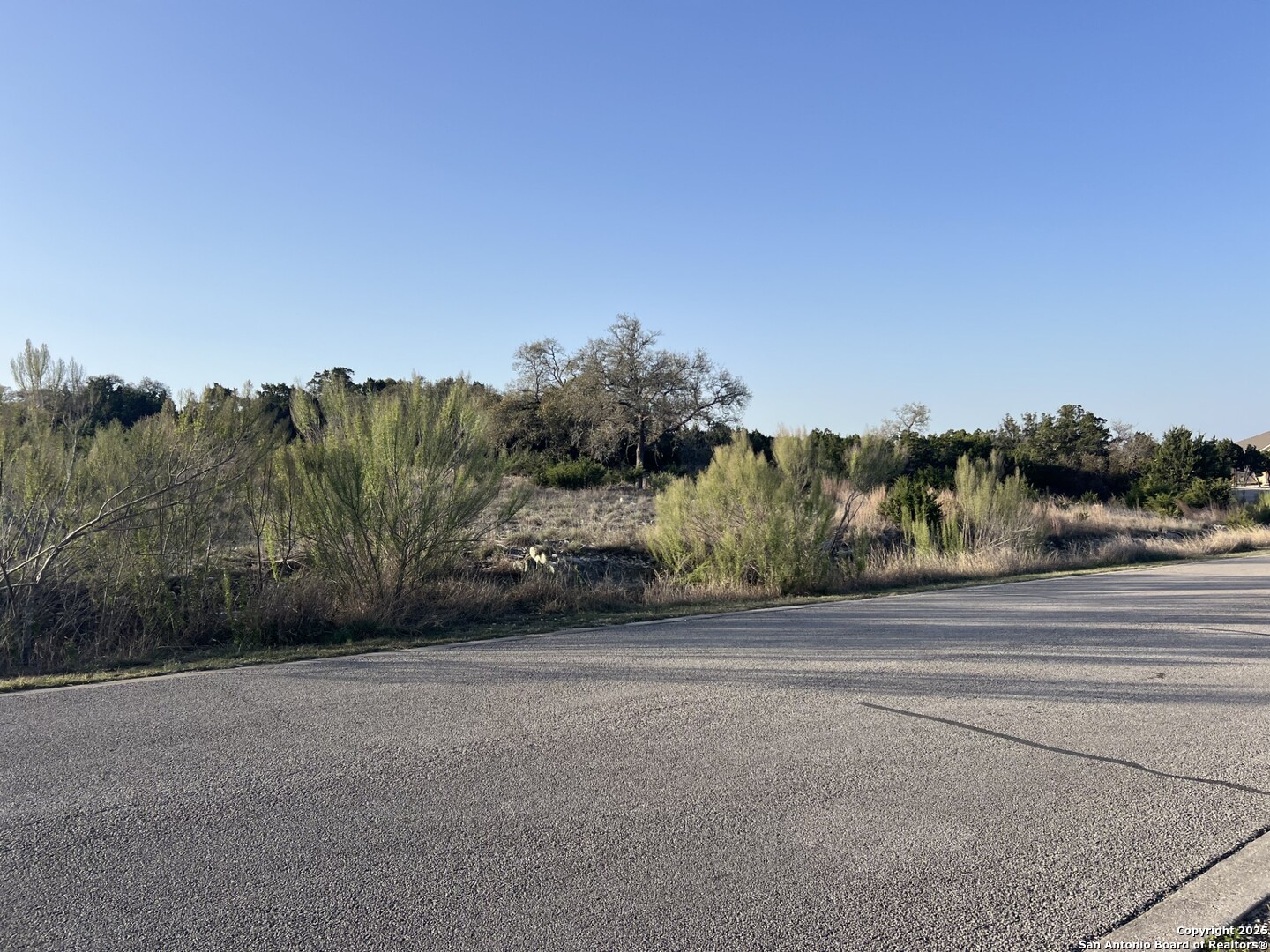 27407 Sunset Loop San Antonio, TX 78266 - Photo 25 of 36 a view of a rural road with plants