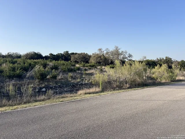 a view of a rural road with plants
