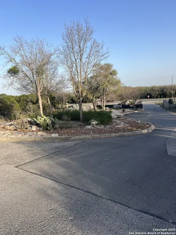 a view of road with with trees