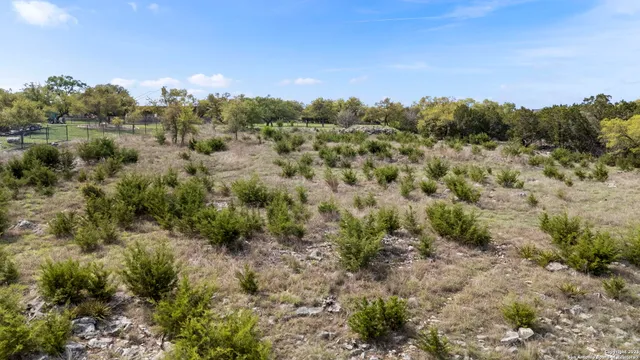 a view of a city with lush green forest