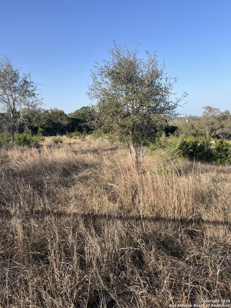 27407 Sunset Loop San Antonio, TX 78266 - Photo 5 of 36 a view of lake with green space