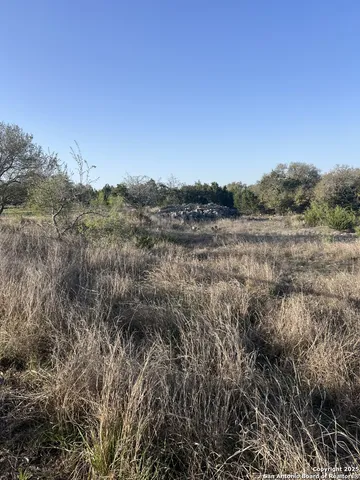 a view of a dry yard with trees in the background