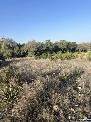 a view of a lake with a mountain in the background