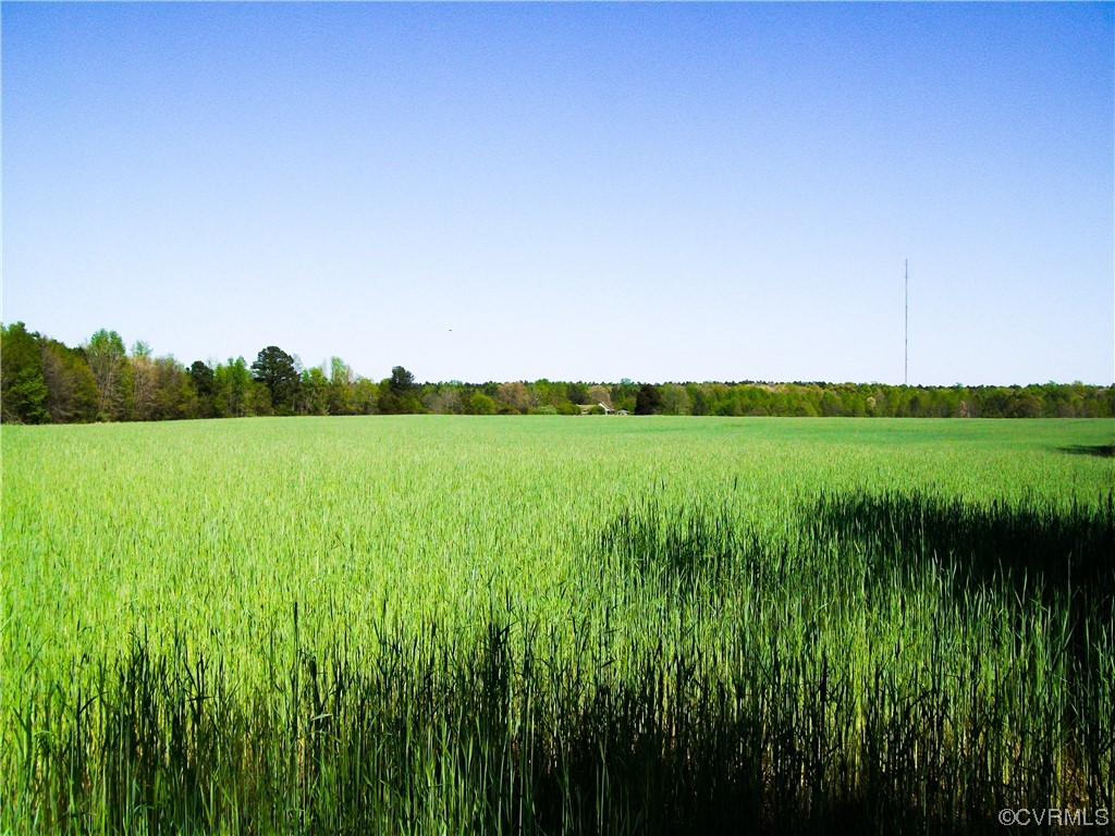 2293 Chalk Level Road, Unit OFF Alberta, VA 23821 - Photo 2 of 50 a view of a field with a tree in the background