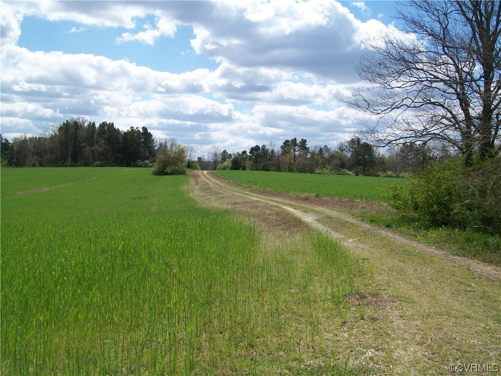 2293 Chalk Level Road, Unit OFF Alberta, VA 23821 - Photo 28 of 50 a view of field with grass and trees in the background