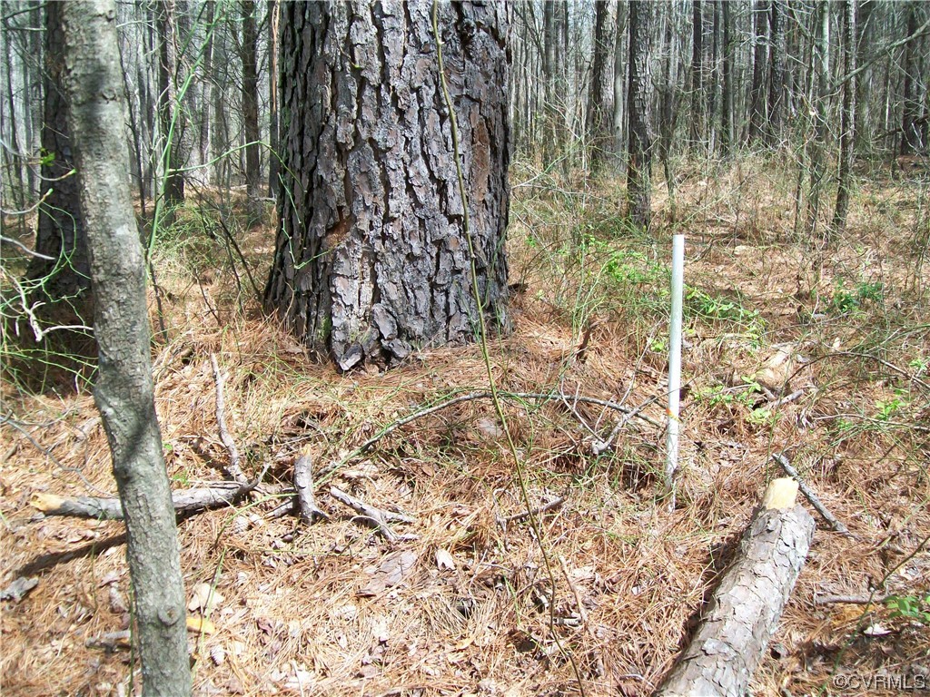 2293 Chalk Level Road, Unit OFF Alberta, VA 23821 - Photo 32 of 50 a view of garden