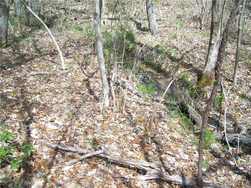 2293 Chalk Level Road, Unit OFF Alberta, VA 23821 - Photo 34 of 50 a picture of tree