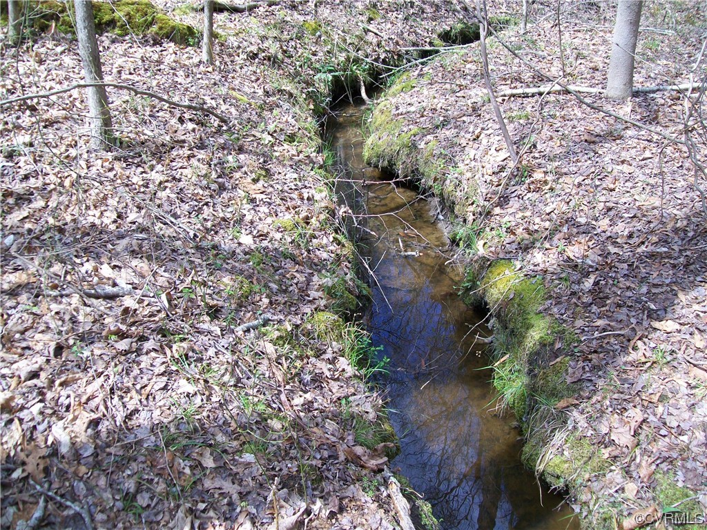 2293 Chalk Level Road, Unit OFF Alberta, VA 23821 - Photo 36 of 50 a view of a yard with plants and large trees