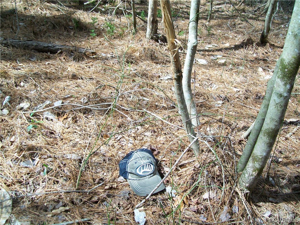 2293 Chalk Level Road, Unit OFF Alberta, VA 23821 - Photo 38 of 50 a view of outdoor space