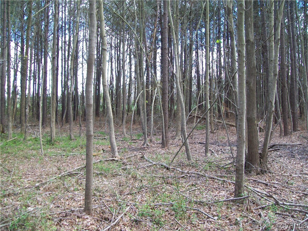 2293 Chalk Level Road, Unit OFF Alberta, VA 23821 - Photo 42 of 50 a backyard of a house with lots of green space and chair