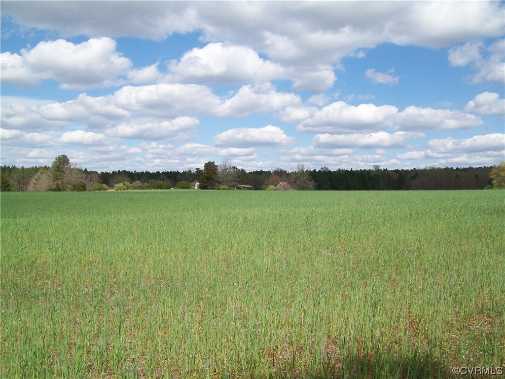 2293 Chalk Level Road, Unit OFF Alberta, VA 23821 - Photo 44 of 50 a view of a lake with a big yard