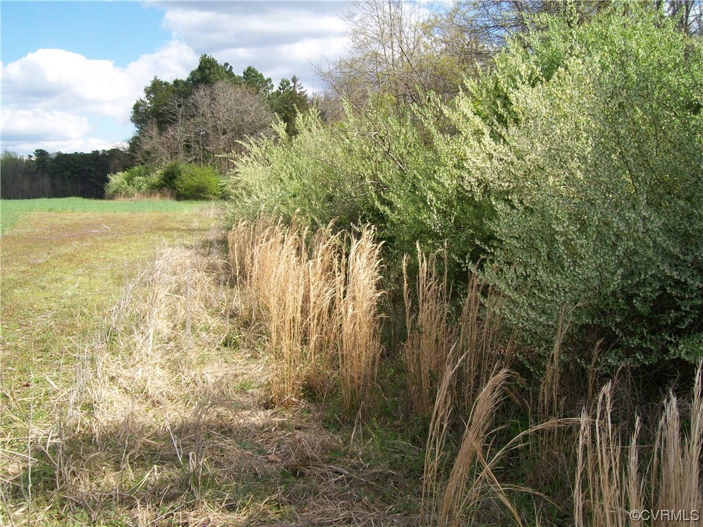 2293 Chalk Level Road, Unit OFF Alberta, VA 23821 - Photo 45 of 50 a view of a field with trees in the background
