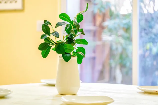 $739,000 | 5476 Summerfield Drive, Antioch, CA 94531