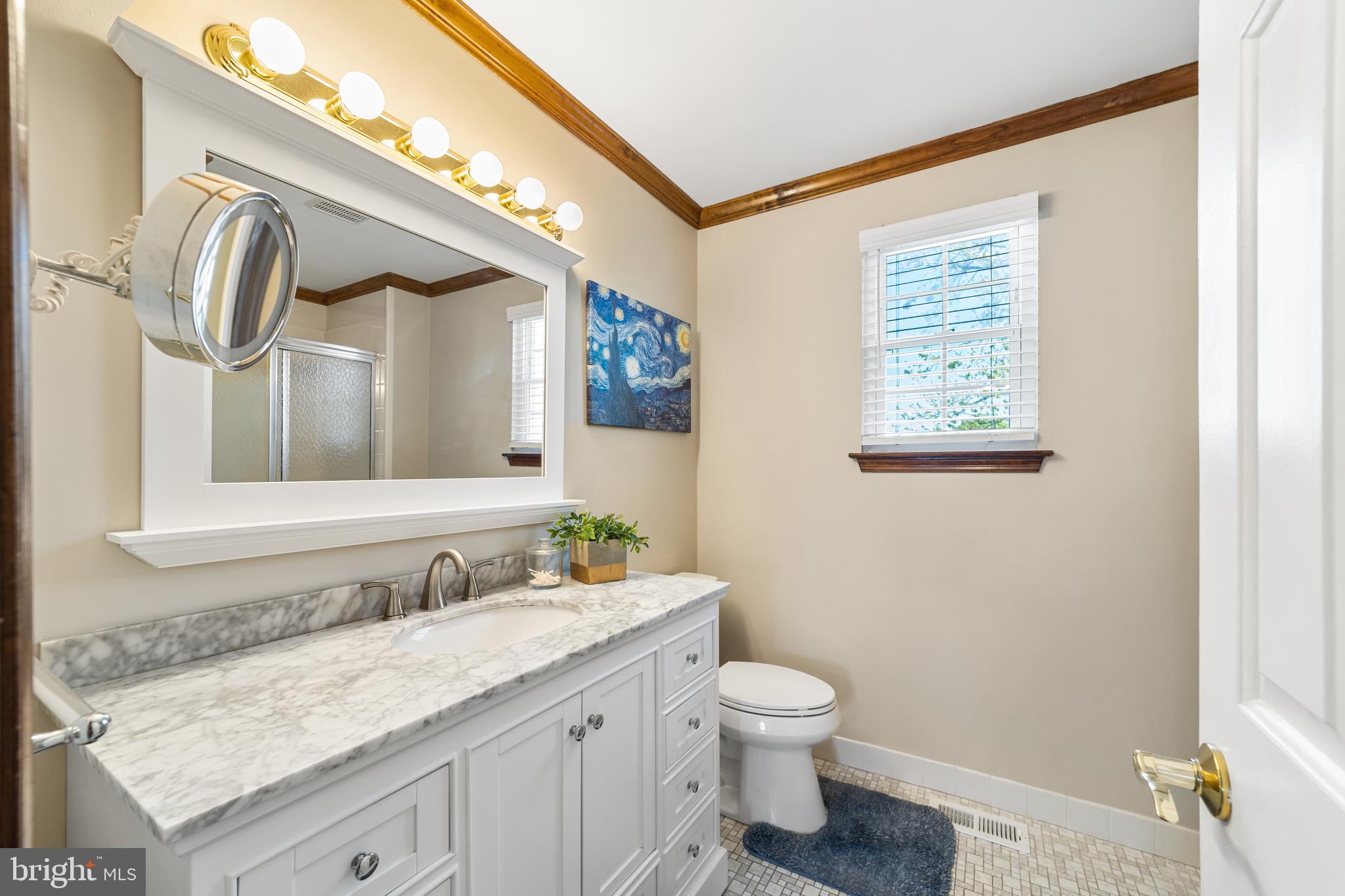 145 Country Farms Road Marlton, NJ 08053 - Photo 23 of 32 Full master Bathroom with stall shower