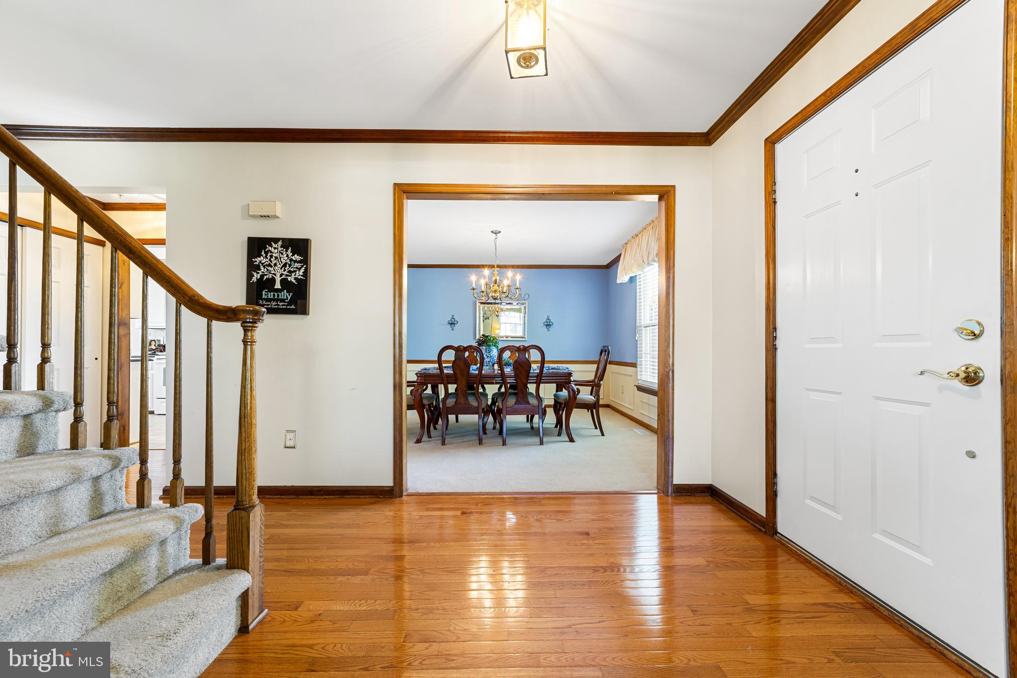 145 Country Farms Road Marlton, NJ 08053 - Photo 6 of 32 Foyer w/ view into dining room
