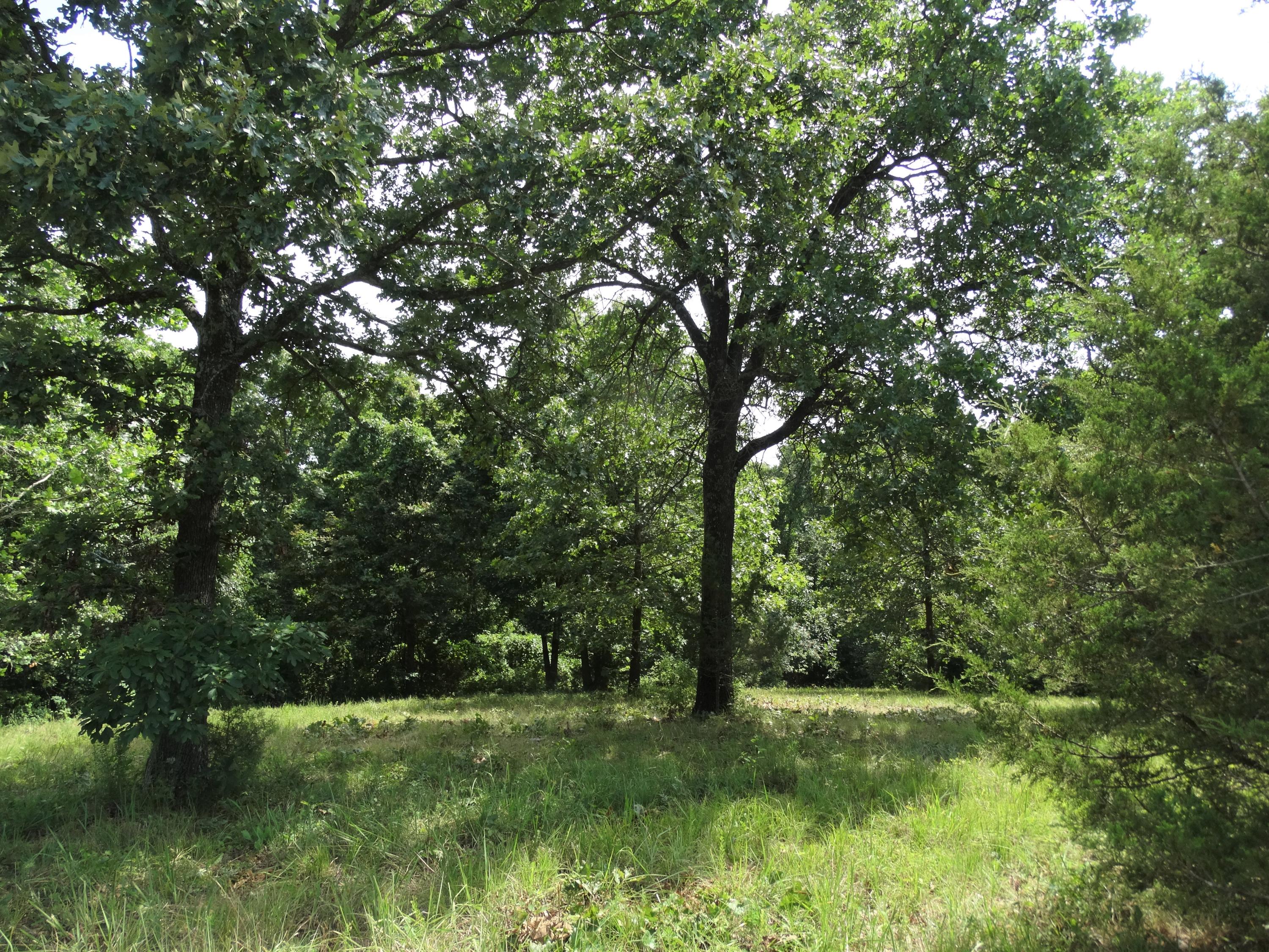 20.22-ac 20.22-ac Line Ridge Road Lampe, MO 65681 - Photo 1 of 1 DSC01128