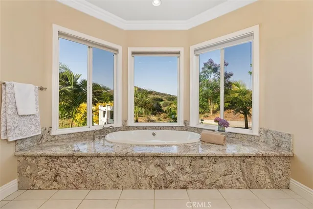 a front view of a house with a yard and potted plants