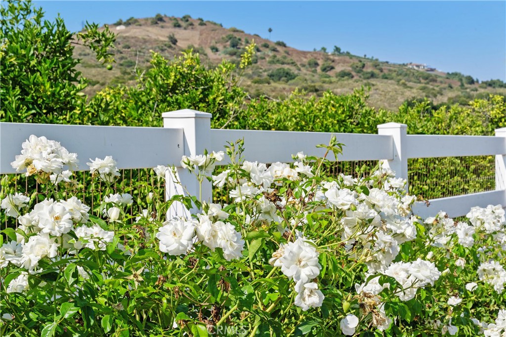 23505 Carancho Road Temecula, CA 92590 - Photo 44 of 73