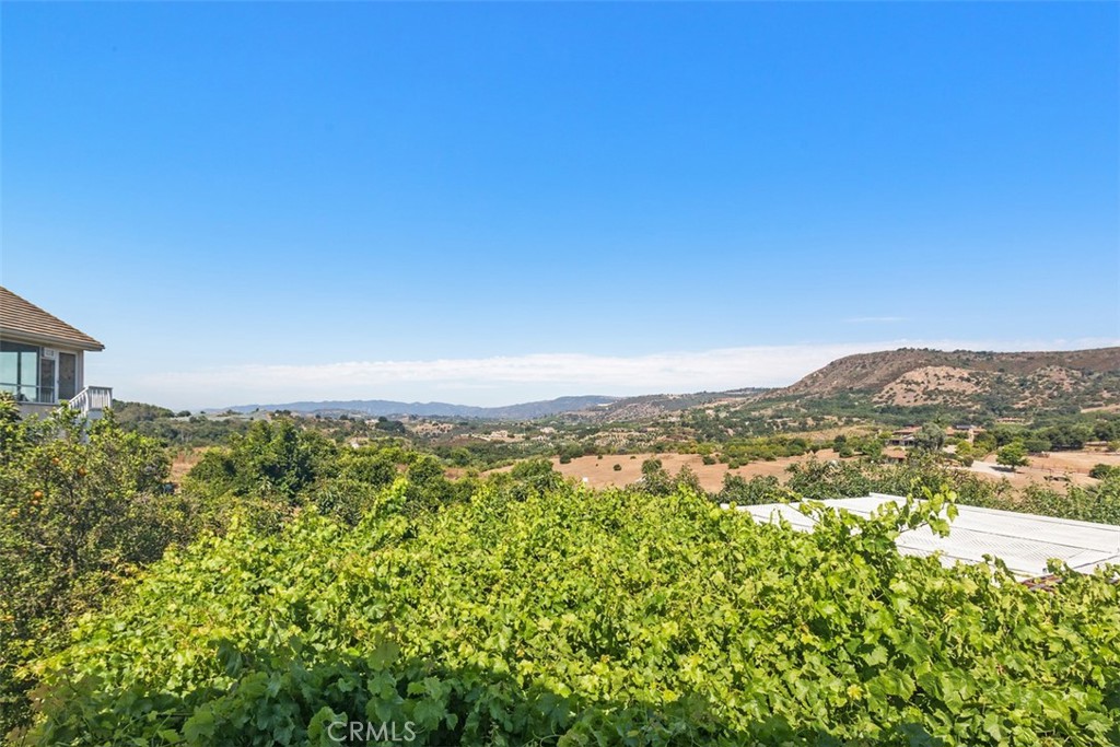 23505 Carancho Road Temecula, CA 92590 - Photo 61 of 73 a view of a city with lush green forest