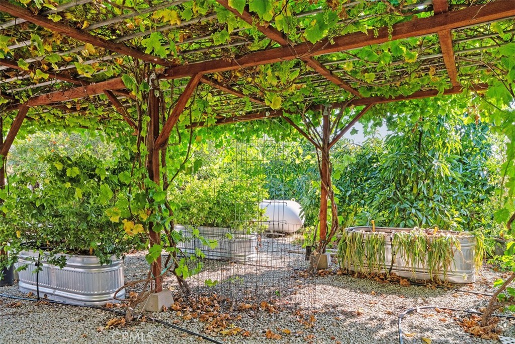 23505 Carancho Road Temecula, CA 92590 - Photo 63 of 73 Family vegetable and fruit garden