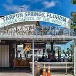 $1,250 | 1250 South Pinellas Avenue, Unit 506, Tarpon Springs, FL 34689