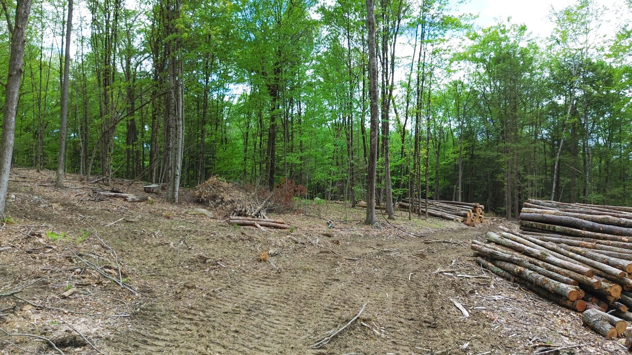 Lot 26-4 Plain Road Hinsdale, NH 03451 - Photo 8 of 28
