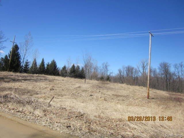 Par C Par C Bruff Road Howell, MI 48855 - Photo 3 of 7 LEFT (2).JPG